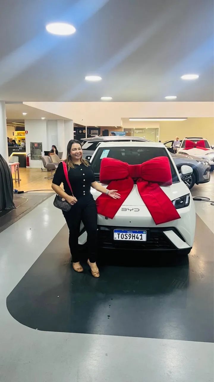 BYD Dolphin Mini (Elétrico) 2027 - Foto 4