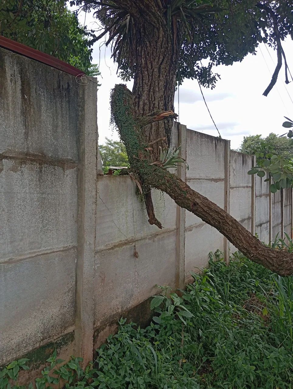 Serviços de manutenção em geral  - Foto 2