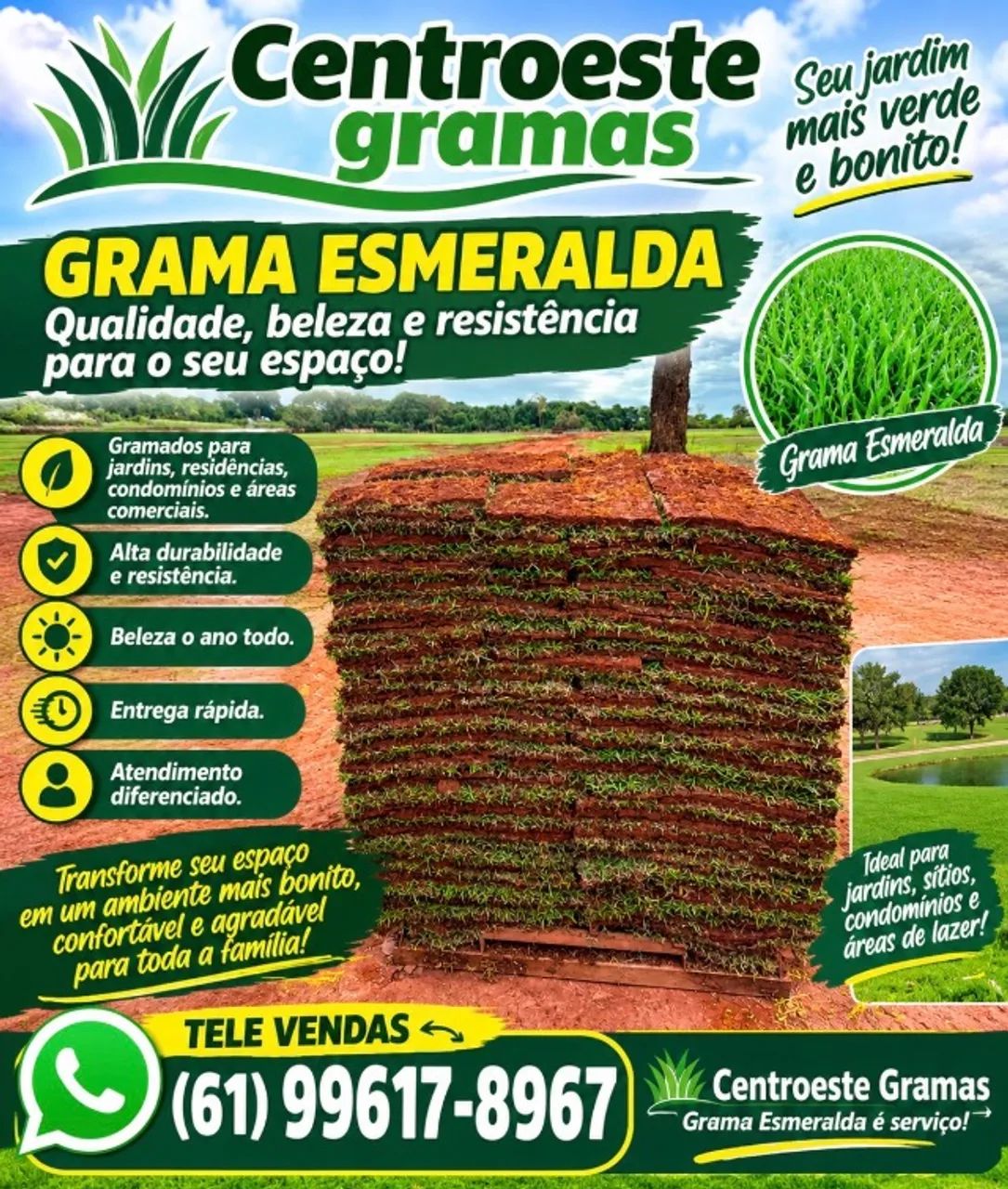 Grama gramas para  talude e  resistência 