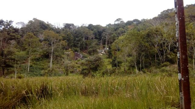 Fazenda Itajuípe - Foto 15