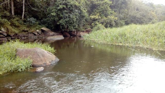 Fazenda Itajuípe - Foto 17