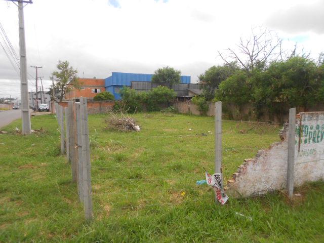 Terreno para alugar em Emiliano perneta, Pinhais cod:42018 - Foto 4