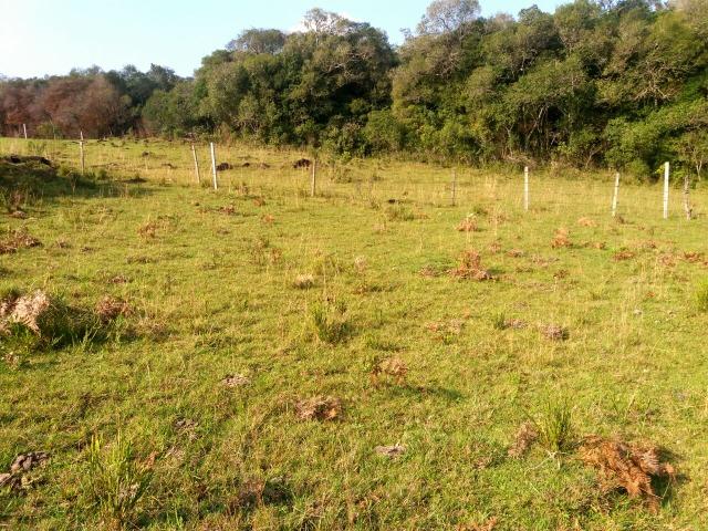Área para chácara de lazer com 02 hectares - Foto 2