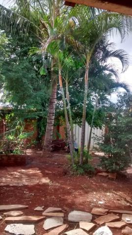 Casa 3 Qts S. Leste Gama - Foto 8