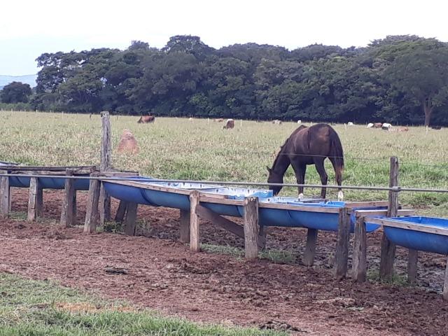 Confinamento ou Laticínio na comunidade olho d"agua na BR 364 a 30 km de Cuiabá - Foto 7