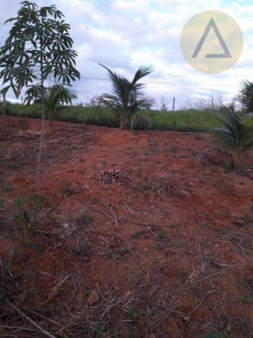 Terreno à venda, 870 m² por r$ 150.000 - quilombo - cantagalo/rj - Foto 14