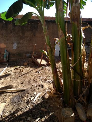 Vendo ou Troco Por Chácara Uma Casa no Arapoanga com Uma Loja , Terreno 675Metros - Foto 10