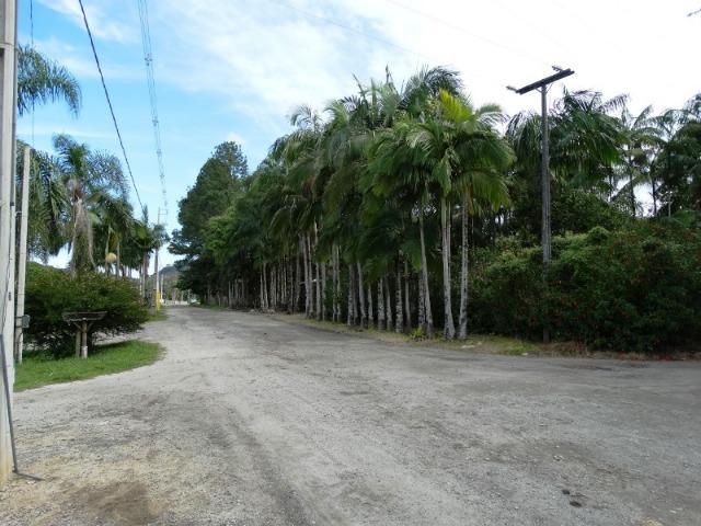 Chacara de 7.000m² Colonia Pereira - Matinhos - Foto 9