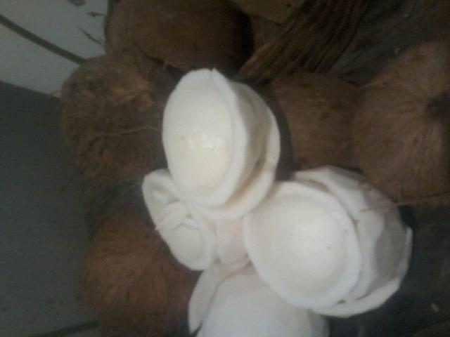Polpa de coco seco em pedaços