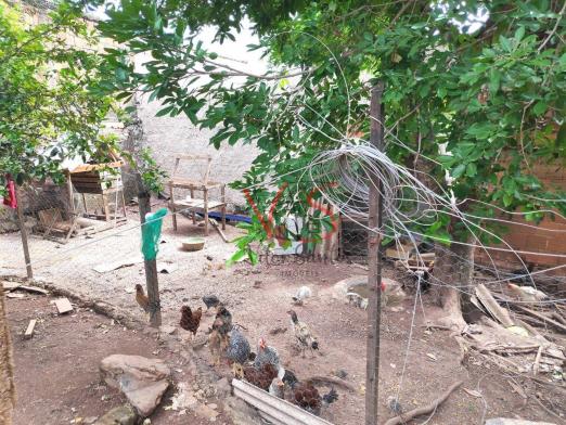 Casa com 4 quartos, 2 suítes e lote de 782m2 - Foto 2