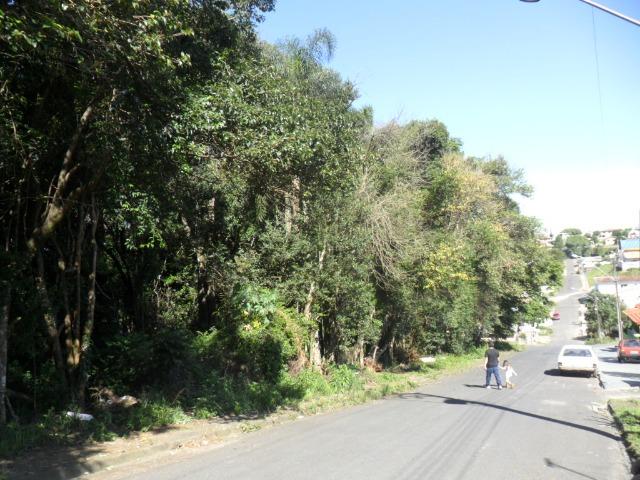 Terreno - Foto 5