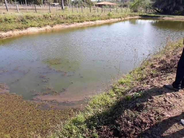 Chácara no Setor Agrícola, em Média, há 20km de Imperatriz - Foto 11