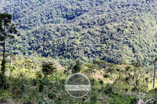 Seu sitio em Bom Retiro na Serra Catarinense - Foto 7
