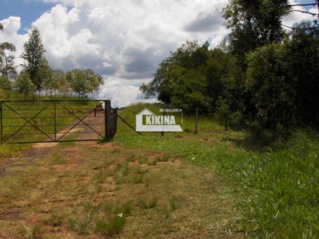 Terreno para alugar em Chapada, Ponta grossa cod:01744.002 - Foto 2