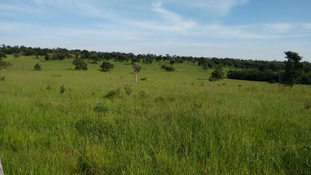 Fazenda de pecuária - Foto 5