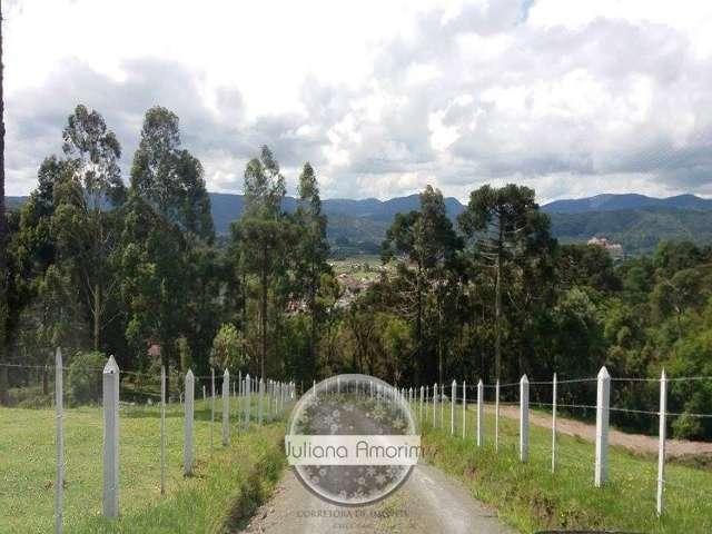 Urubici terrenos - Foto 5