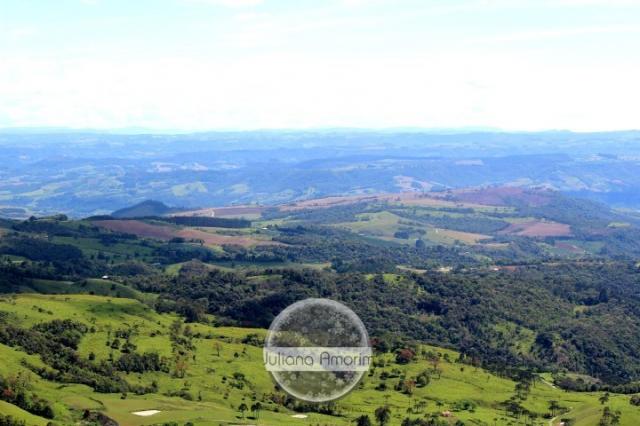 Seu sitio em Bom Retiro na Serra Catarinense - Foto 11