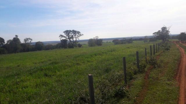 Fazenda de pecuária - Foto 2