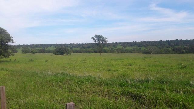 Fazenda de pecuária - Foto 3