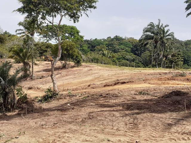 Lotes com IPTU e pagamento facilitado na Ilha - Foto 5