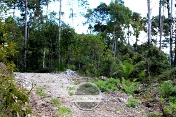 Seu sitio em Bom Retiro na Serra Catarinense - Foto 16