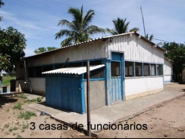 Fazenda na região de corumba ms