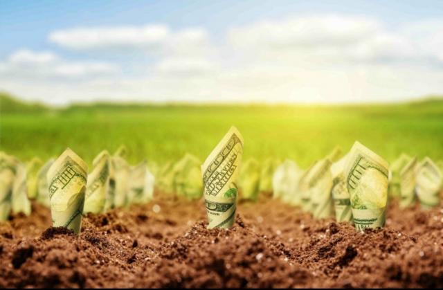 Poucas Unidade 1.000m² $35mil