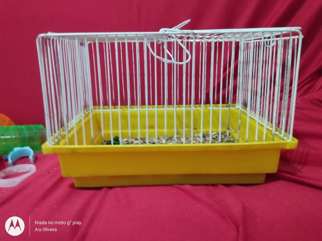 Vende-se gaiolas para hamster - Foto 4