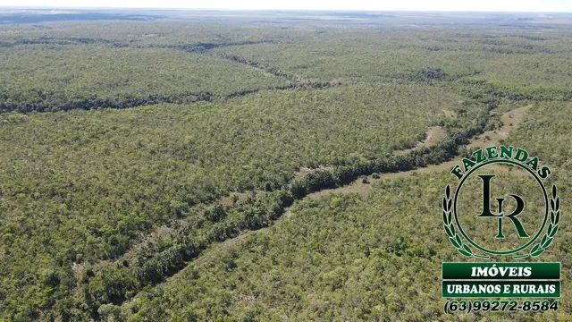 Fazenda  125 Alqueires Bruta Tocantins Dupla Aptidão - Foto 3