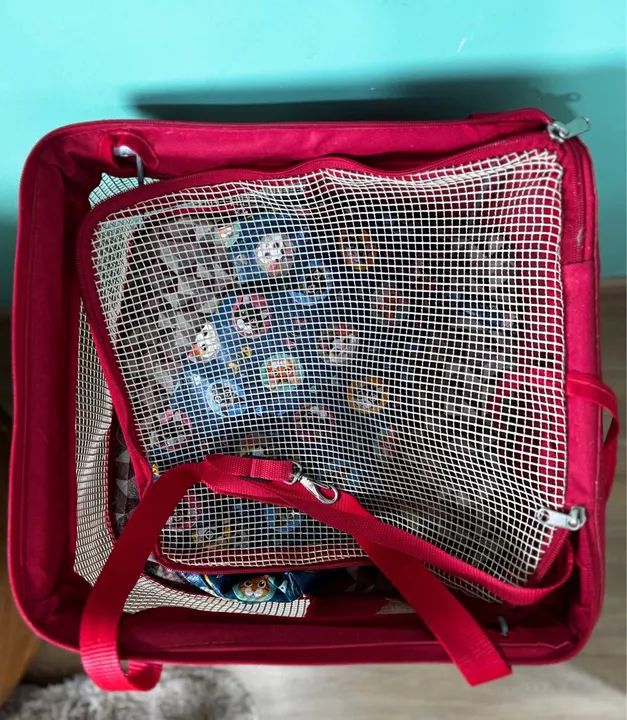 Caixa de transporte para animais de estimação