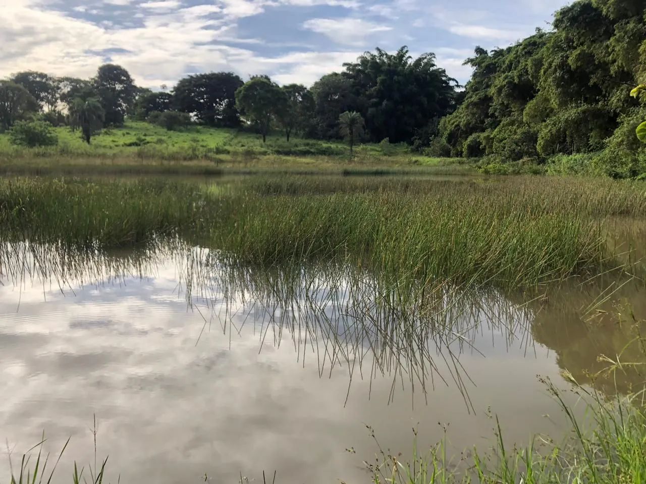 Chacara em santa barbara go - Foto 8