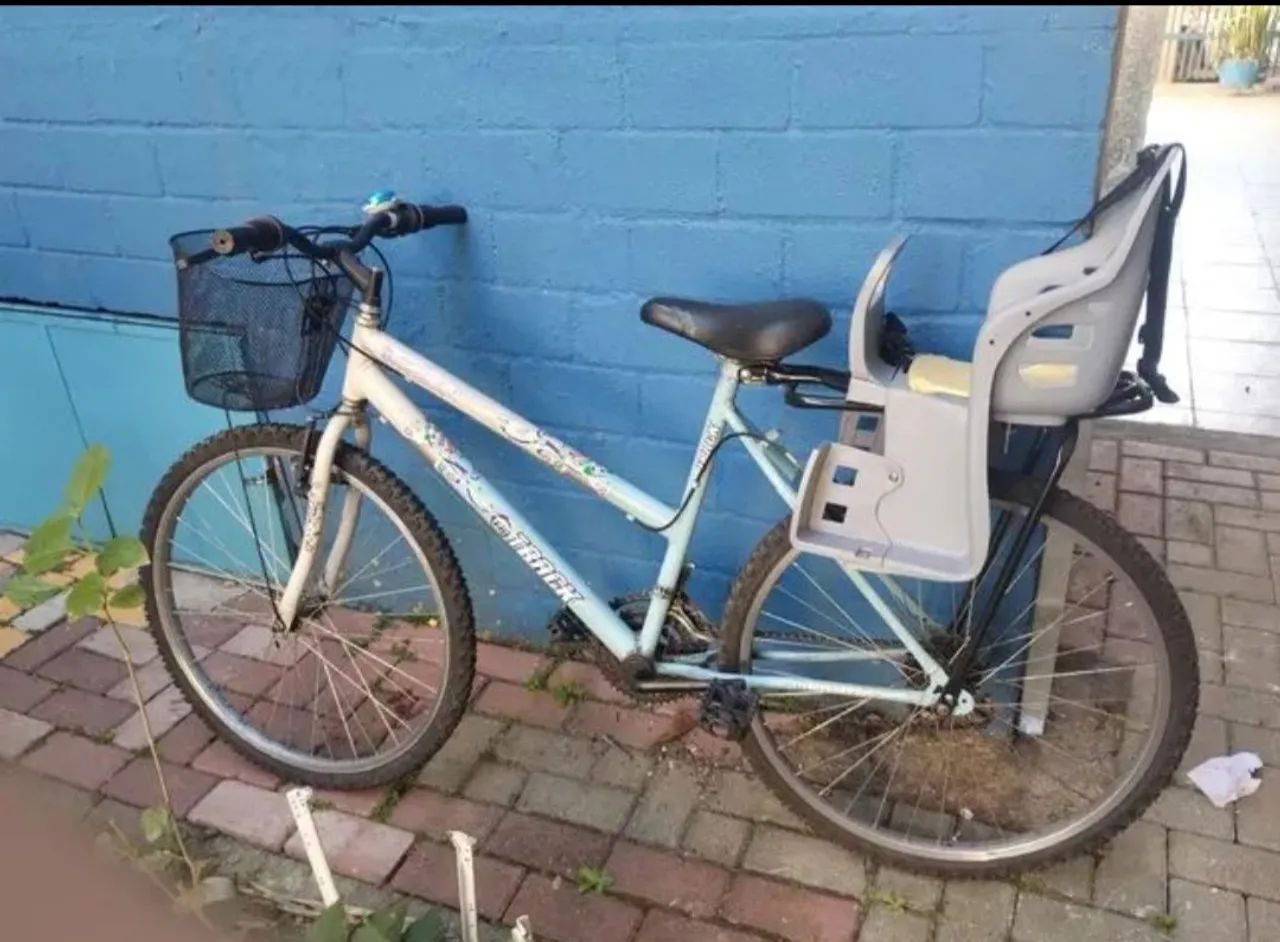 Vendo bike com cadeirinha 