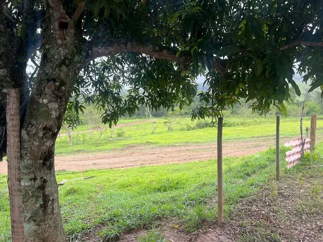 ~ Compre sua chácara próximo a Brasília # - Foto 2