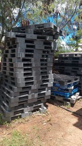 Palete de plástico 