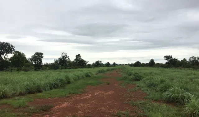 Fazenda de 610 alq em São João d' Aliança - GO