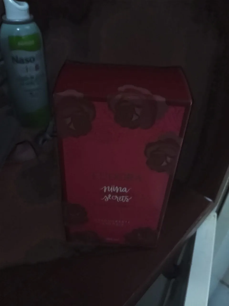 Nina Secrets Perfume Novo