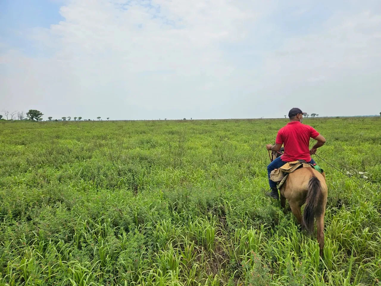 Imóvel para venda com 15029485 metros quadrados em Área Rural de Corumbá - Corumbá - MS