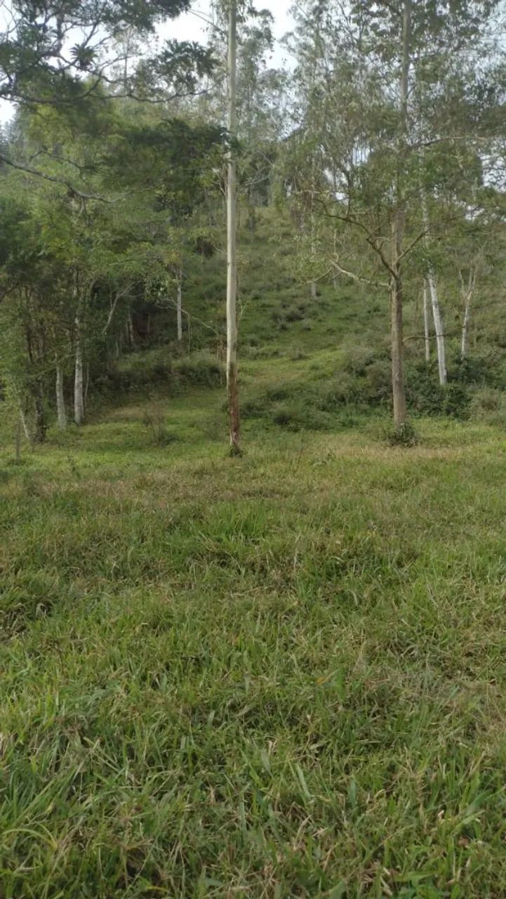 Sítio Encantador com Recursos Naturais Abundantes - 4 Hectares de Puro sossego!