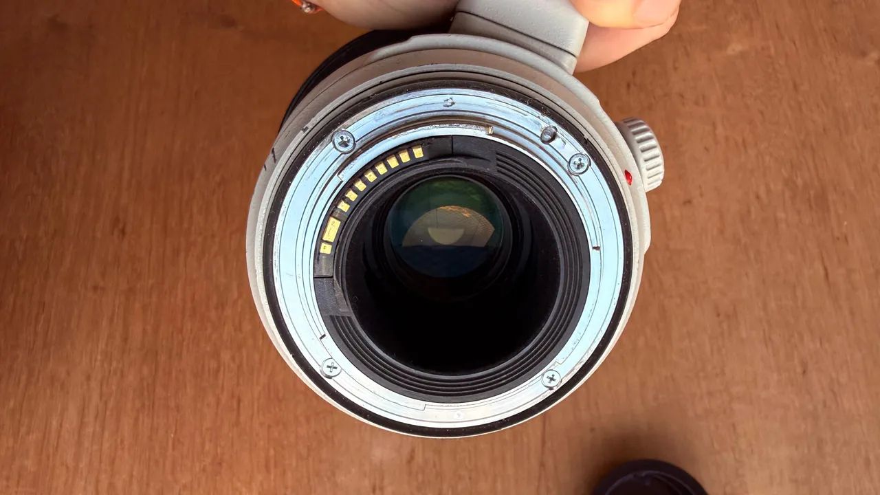 Canon EF 100-400mm f/4.5-5.6L IS II USM  - Foto 2