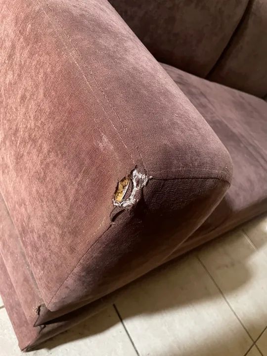 Sofá 3 lugares em ótimo estado - Foto 3