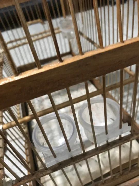 Gaiola e outros  - Foto 4