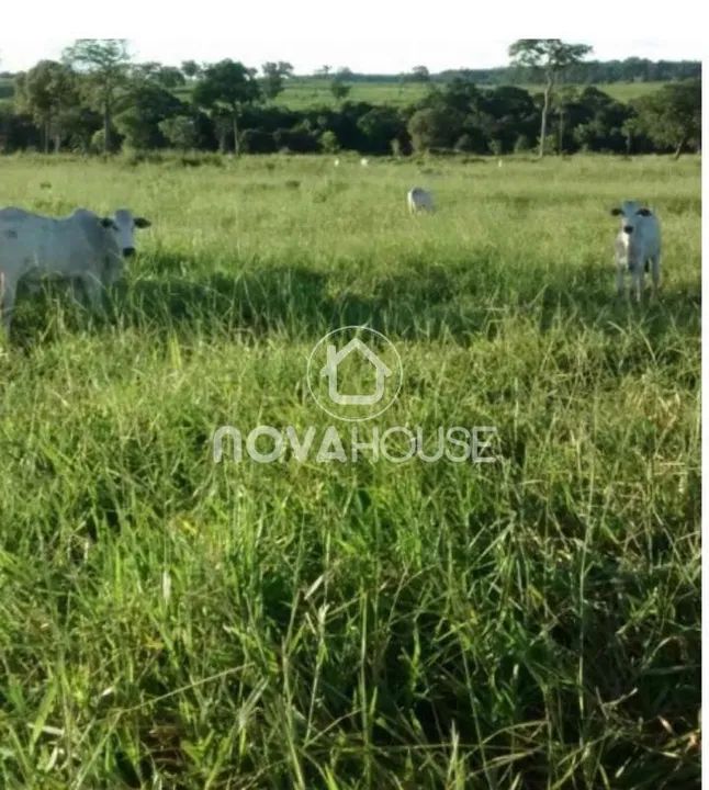 FAZENDA MUNICÍPIO RIBEIRÃO CASCALHEIRA MT PRÓXIMO A QUERÊNCIA: - Foto 5
