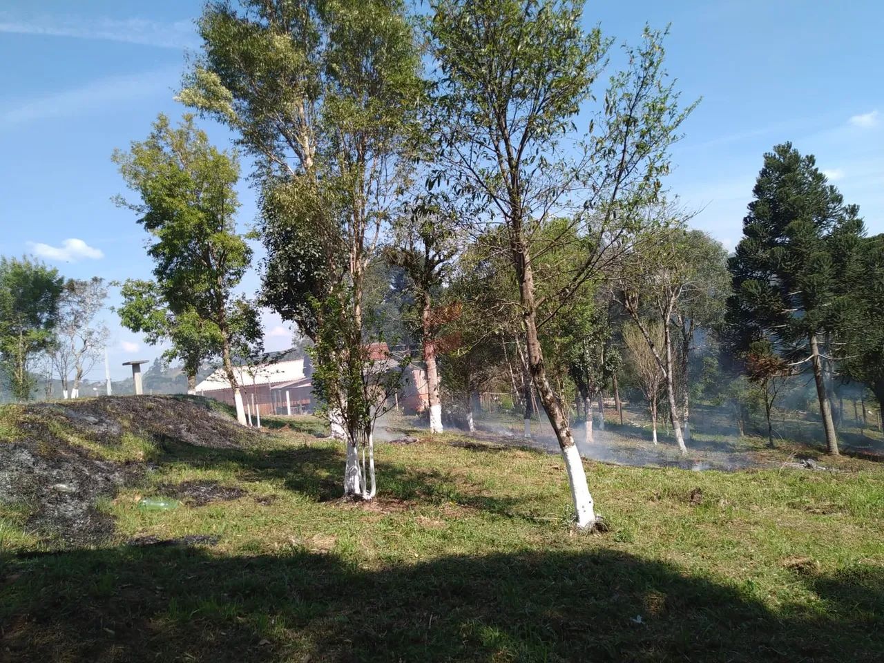 CHÁCARA à venda com 4840m² por R$ 110.000,00 no bairro Areia Branca - MANDIRITUBA / PR - Foto 7