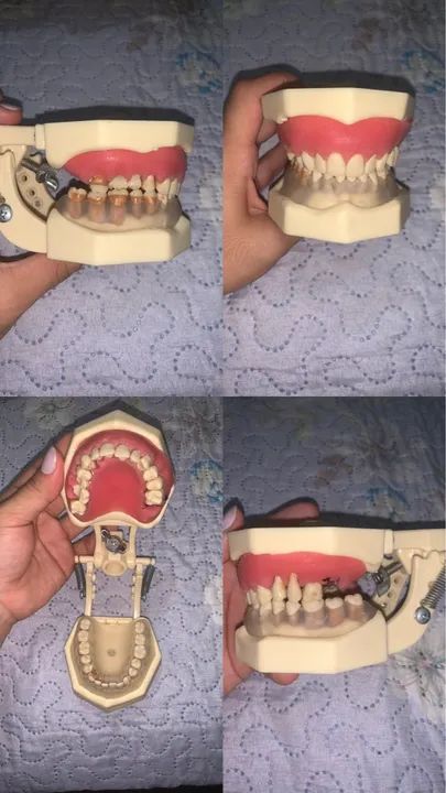 Vende-se manequim odontológico 