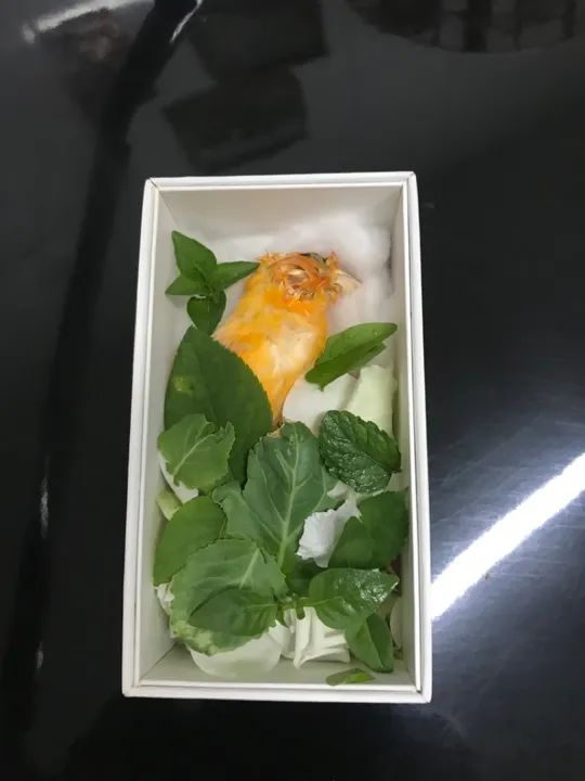 Gaiola e outros  - Foto 6