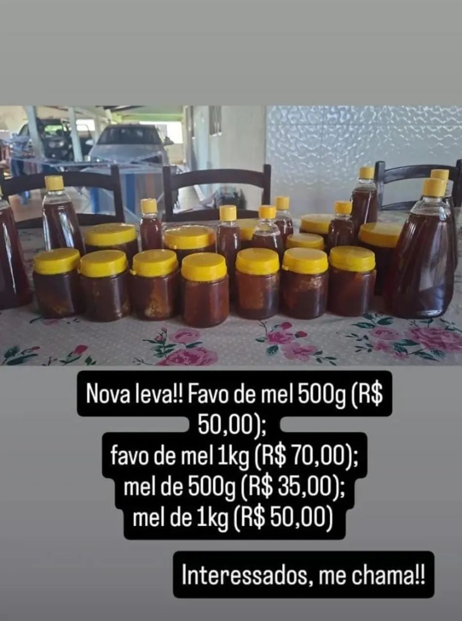 Mel silvestre do cerrado goiano - Foto 6