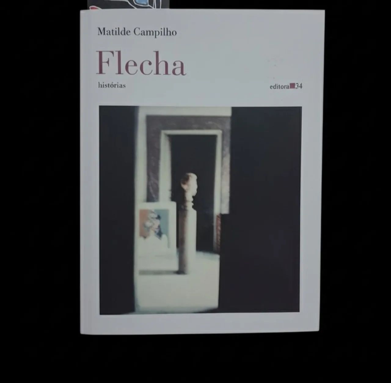 Flecha - Matilde Campilho