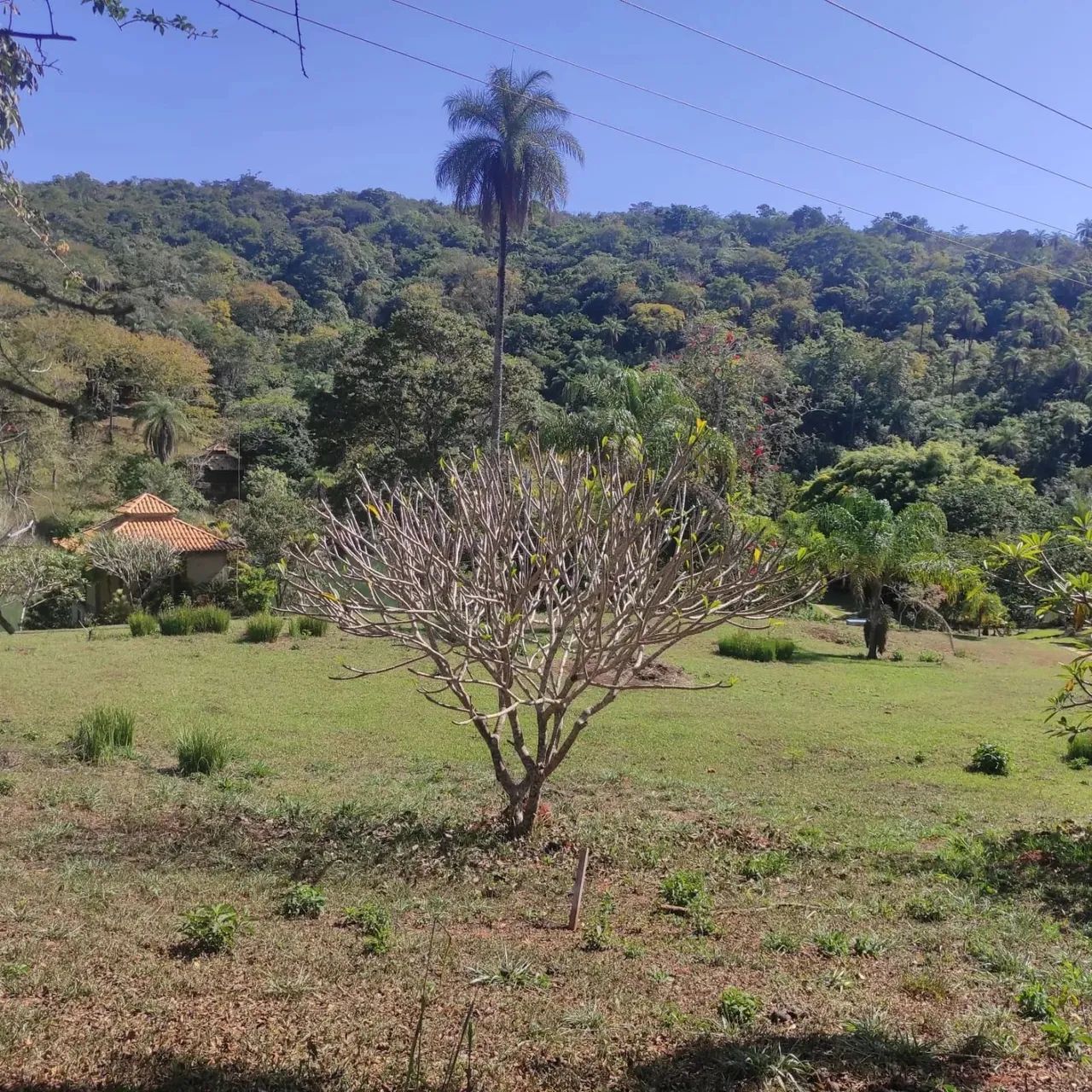 Fazendinhas de 20.000 metros dentro de lagoa santa a 10min da lagoa central - Foto 2