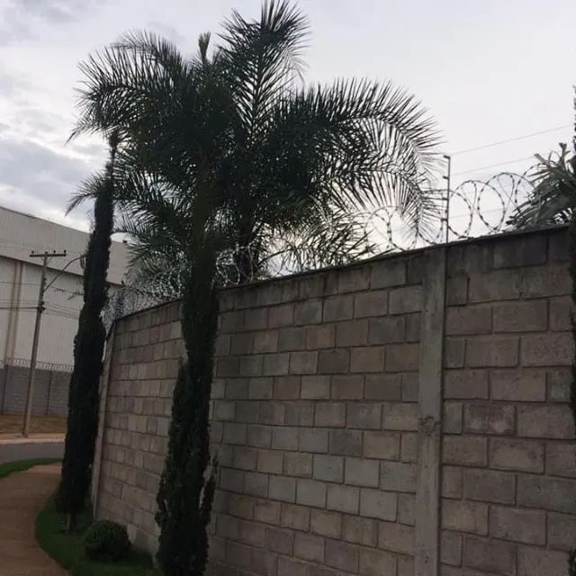 Cerca Eletrica e Concertina  com garantia e qualidade - Foto 3