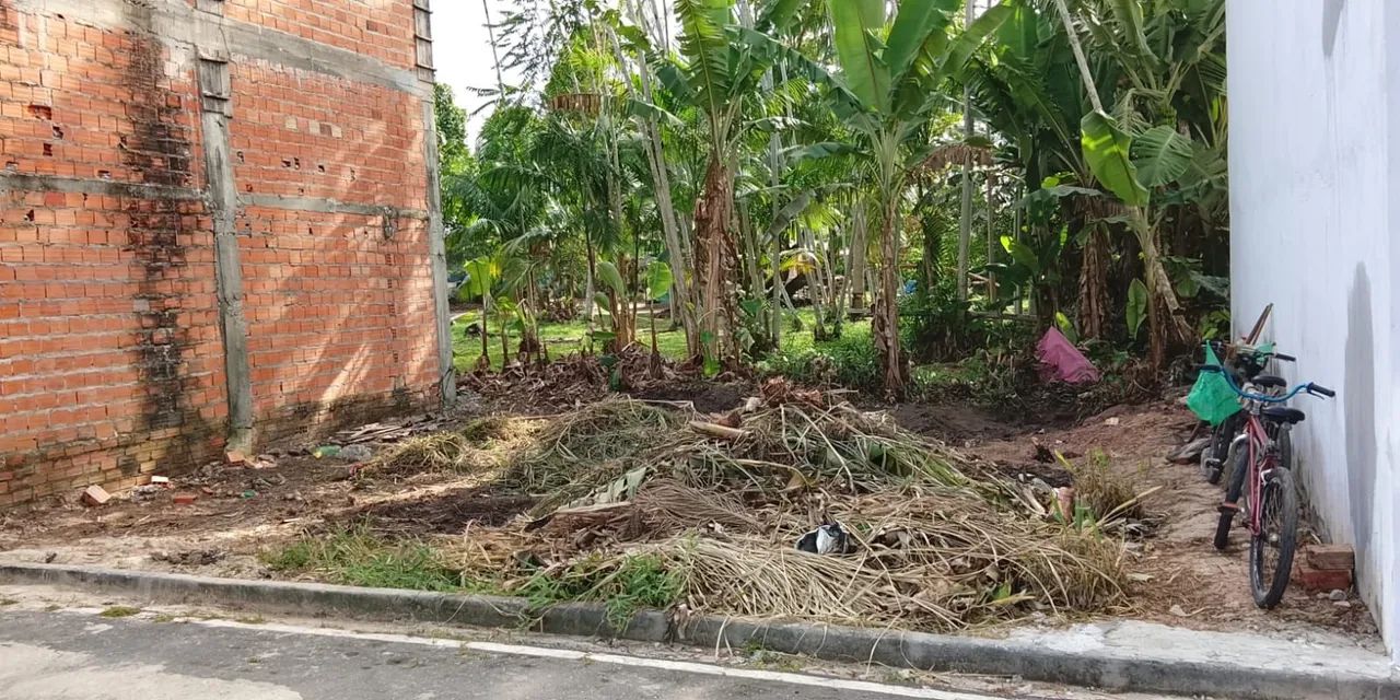Terreno  - Foto 3